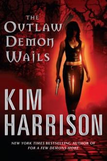      The Outlaw Demon Wails