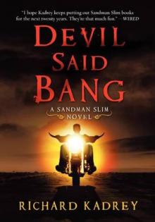      Devil Said Bang