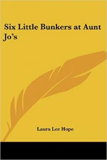      Six Little Bunkers at Aunt Jo's