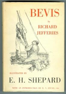      Bevis: The Story of a Boy