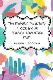      The Flaming Mountain: A Rick Brant Science-Adventure Story