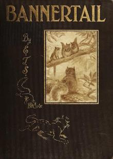      Bannertail: The Story of a Graysquirrel