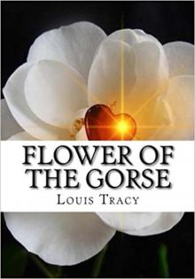      Flower of the Gorse