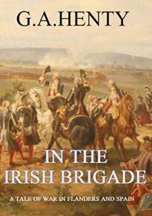      In the Irish Brigade: A Tale of War in Flanders and Spain
