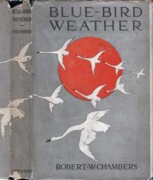      Blue-Bird Weather