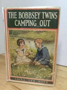      The Bobbsey Twins