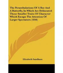      The Perambulations of a Bee and a Butterfly,