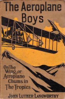      Aeroplane Boys on the Wing