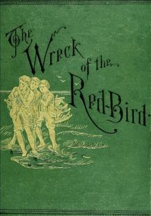      The Wreck of the Red Bird: A Story of the Carolina Coast