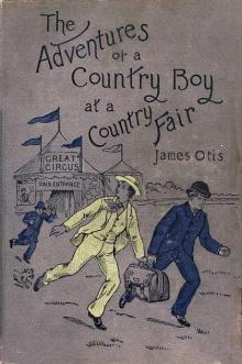      The Adventures of a Country Boy at a Country Fair
