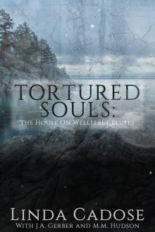      The House of Souls