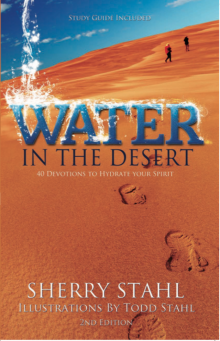      The Guide of the Desert