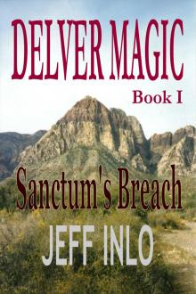     Delver Magic Book I: Sanctum's Breach