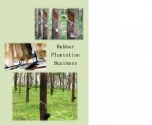      Rubber Plantation Business