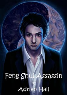      Feng Shui Assassin