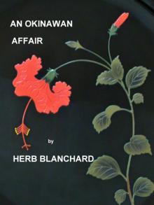      An Okinawan Affair