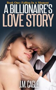      A Billionaire's Love Story, Book One: Falling In A Moment