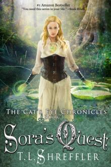      Sora's Quest (The Cat's Eye Chronicles #1)