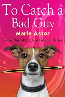      To Catch a Bad Guy (Book One of the Janet Maple Series)