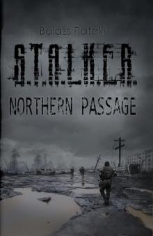      STALKER Northern Passage