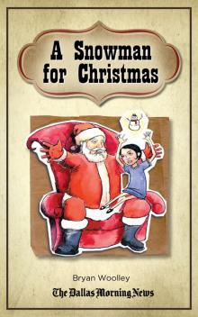      A Snowman for Christmas