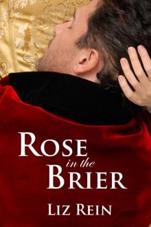      Rose in the Brier