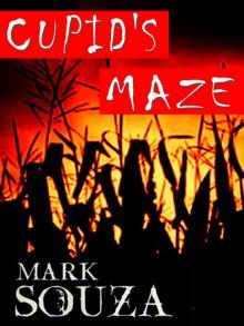      Cupid's Maze