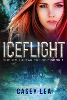      IceFlight