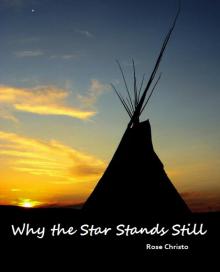     Why the Star Stands Still (Gives Light #4)
