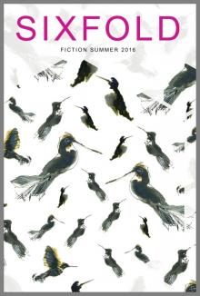      Sixfold Fiction Summer 2016