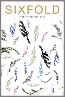      Sixfold Poetry Summer 2016