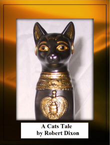      A Cats Tale