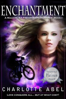      Enchantment (The Channie Series Book One)
