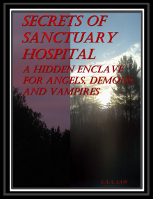      Secrets Of Sanctuary Hospital A Hidden Enclave For Angels, Demons, And Vampires