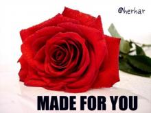      Made For You