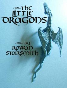      The Little Dragons