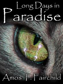      Long Days in  Paradise - The First Book of the Shards of Heaven