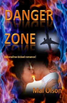      Danger Zone (Short story)