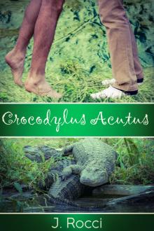      Crocodylus Acutus