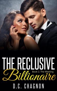      The Reclusive Billionaire, Book One: The Meeting