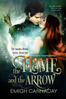      The Flame and the Arrow
