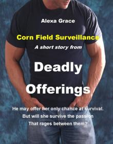      Corn Field Surveillance: A Short Story