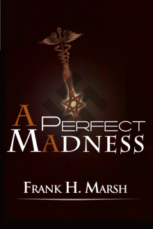      A Perfect Madness