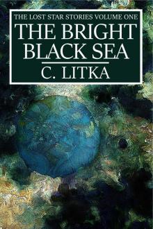      The Bright Black Sea