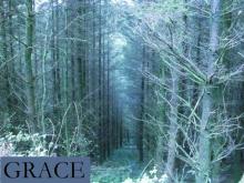      Grace - A Short Story.