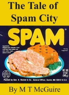      The Tale of Spam City