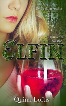      Elfin, Book 1 The Elfin Series