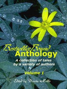      BestsellerBound Short Story Anthology