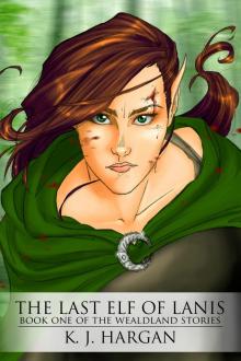      The Last Elf of Lanis