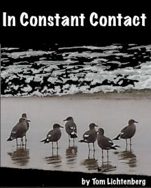      In Constant Contact